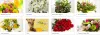 Proflowers Coupon Code 2023 | Proflowers Coupons 2023