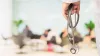 How FMGE Paves the Way for Medical Practice in India ?