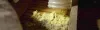 foam-co-attic-insulation-removal.jpg