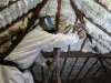 Icynene Spray Foam Loft Insulation