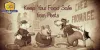 Why Pest Control Important for the Food Industry?