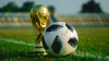 Top 10 Biggest Sports Events in the World