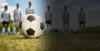 Football Betting Software