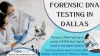 Forensic DNA testing in Dallas | Forensic infidelity DNA Tests