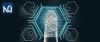 Fraud Risk Management in India | Forensic Accounting India | Netrika