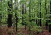 Forestry college in Dehradun