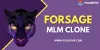 Forsage Clone Script | Ethereum Smart Contract MLM Clone script