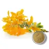 forsythia suspensa fruit, forsythia fruit, forsythia fruit powder, forsythia fruit supplier, bulk fruit suppliers