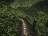  Ziro Tour