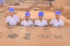 Best plywood manufacturers | Gurjone