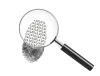 Fraud Investigator | Certified Fraud Examiners in Australia