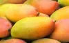 Buy Fresh Mangoes from Distributors in Mexico to Relish Easy to Made Mango Dishes
