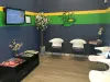 Fresh Heads Lice Removal | Head Lice Treatment Center