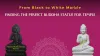 from_black_to_white_marble_finding_the_perfect_buddha_statue_for_temple.jpg