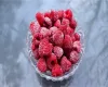 Frozen Fruit Market