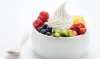  The lowdown on the most suitable Frozen Yogurt Business Plan - Best Creative Ideas