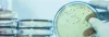 Simplest Way to Take on Fungus in Industries
