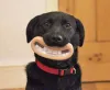 12 Funny Dogs Posing With Their Chew Toys - DogExpress