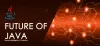 Java Developer future