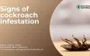 Signs of cockroach infestation