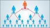 Why MLM consultants Are Worth Investing On?