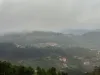 Best Hotels In Solan