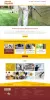 Web Design Calicut Kerala | Web Development Company India