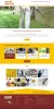 Web Design Calicut Kerala | Web Development Company India