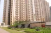 French Apartments