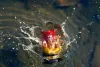 Ganesh Visarjan Story: Importance of the Day, Puja Vidhi, Date-Time