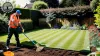 Reliable Garden Clearance Contractors - Clear The Lot - House Clearance