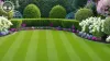 Comprehensive Garden Clearance Solutions