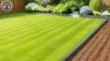 Garden Clearance for New Property Owners