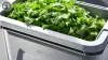 Garden Clearance: Sustainable Solutions for Organic Waste Disposal