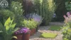 Affordable Garden Clearance for Budget-Conscious Homeowners