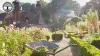 Same day garden clearance for urgent cleanups -