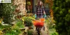 Professional Garden Clearance Services for Croydon Residences