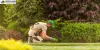 Restore Garden's with Garden Clearance Company in Croydon