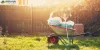 Get Rid Of Debris with Garden Clearance Services in Merton