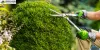 Garden Clearance Services in Merton: Say Goodbye to Overgrown