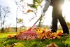 Improve Your Garden with Garden Clearance in Nottingham