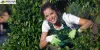 Professional Garden Clearance Services in Sutton for a Stunning