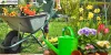 Restore Your Garden with Garden Clearance Services in Sutton
