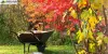 Garden Clearance Services in Sutton from Overgrown To Tidy