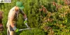 Trust Us for Efficient Garden Clearance Services in Sutton