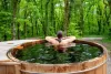 garden-tub.webp