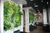 Artificial Vertical Garden Supplier in Delhi