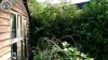 Garden Clearance | Garden Clearance near me