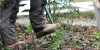Garden Clearance | Garden Clearance near me