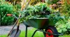 gardening franchises